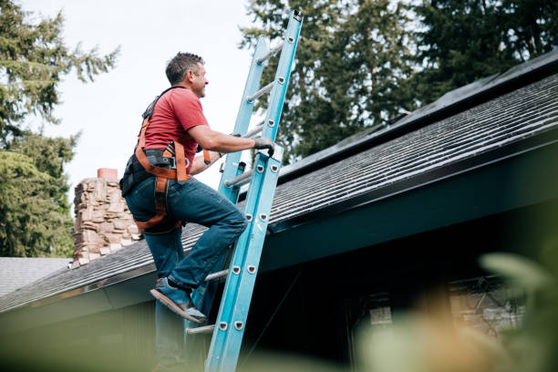 Best Asphalt Shingles Roofing  in St Maries, ID